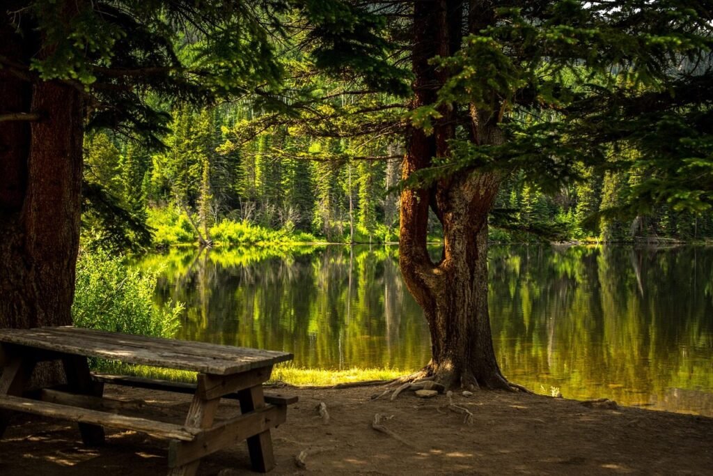 Camping Chairs and Tables Table Types That Transform a Campsite