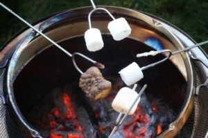 Camping Stove Type – Best Camping Stove Type (Beginner Review): 12 Picks for 2026