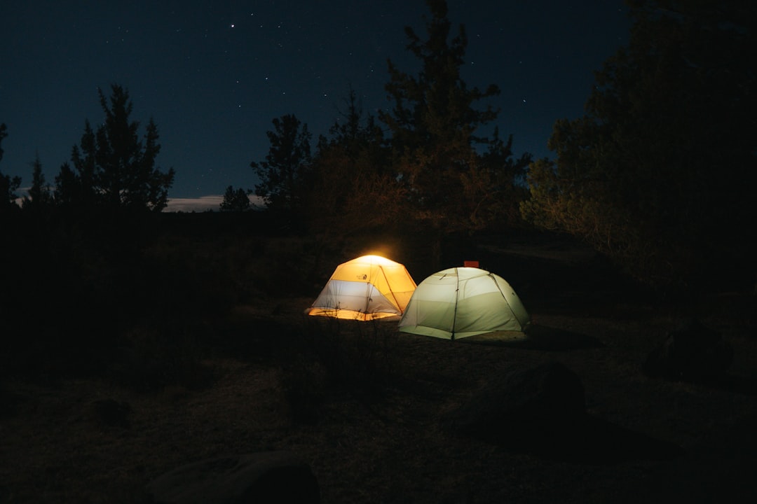 String Lights For Campsites – Best String Lights for Campsites: 7 Things to Avoid