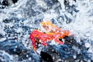 Waterproof Trail Runners – Best Waterproof Trail Runners for Hiking: 12 Picks for 2026