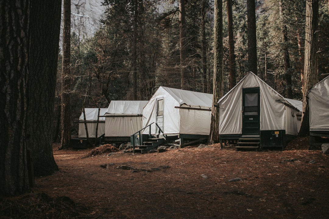 Family Camping Deals – Family Camping Deals: Best Tent Deals for Family Camping: 12 Picks for 2026