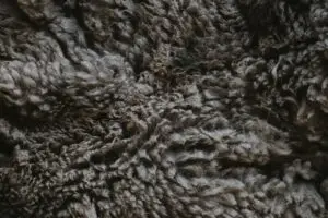 Fleece Jackets Layering – Fleece Jackets Layering: Best Fleece Jackets for Layering: 10 Picks for 2026