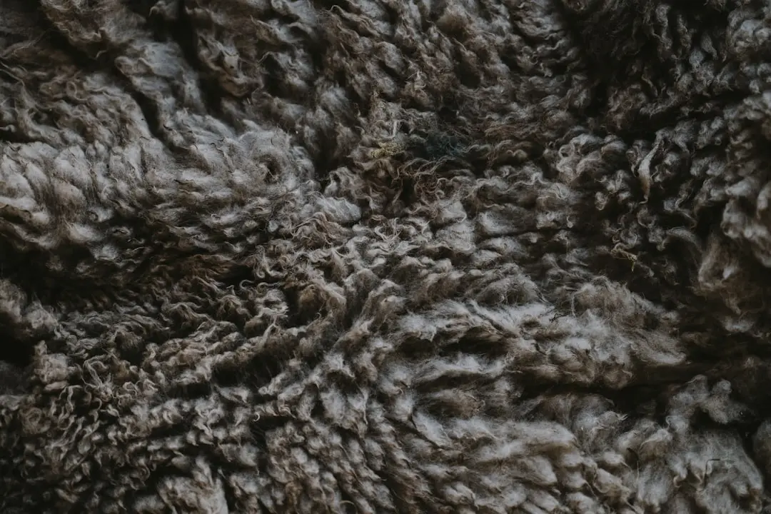 Fleece Jackets Layering – Fleece Jackets Layering: Best Fleece Jackets for Layering: 10 Picks for 2026