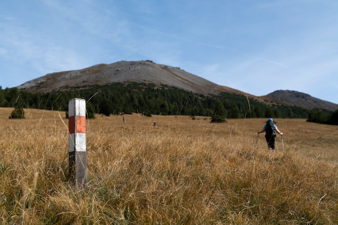 Budget Trekking Poles – Proven Are Budget Trekking Poles Worth It?: 15 Tips for 2026