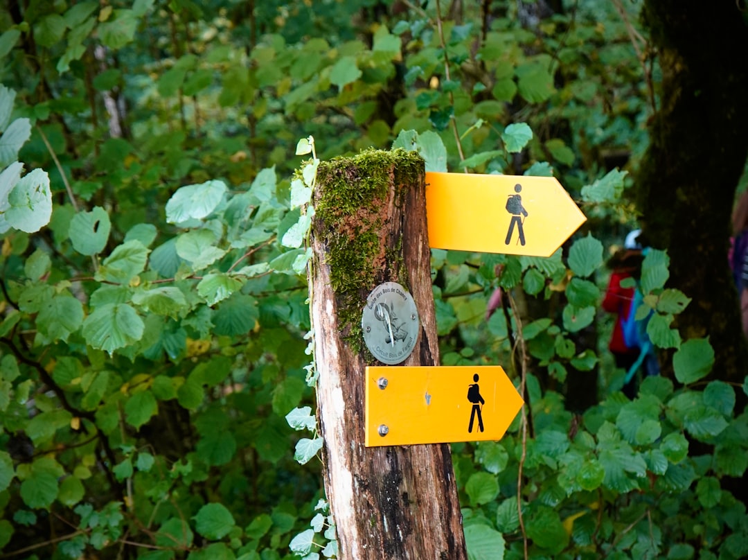 Hiking Gear Guide