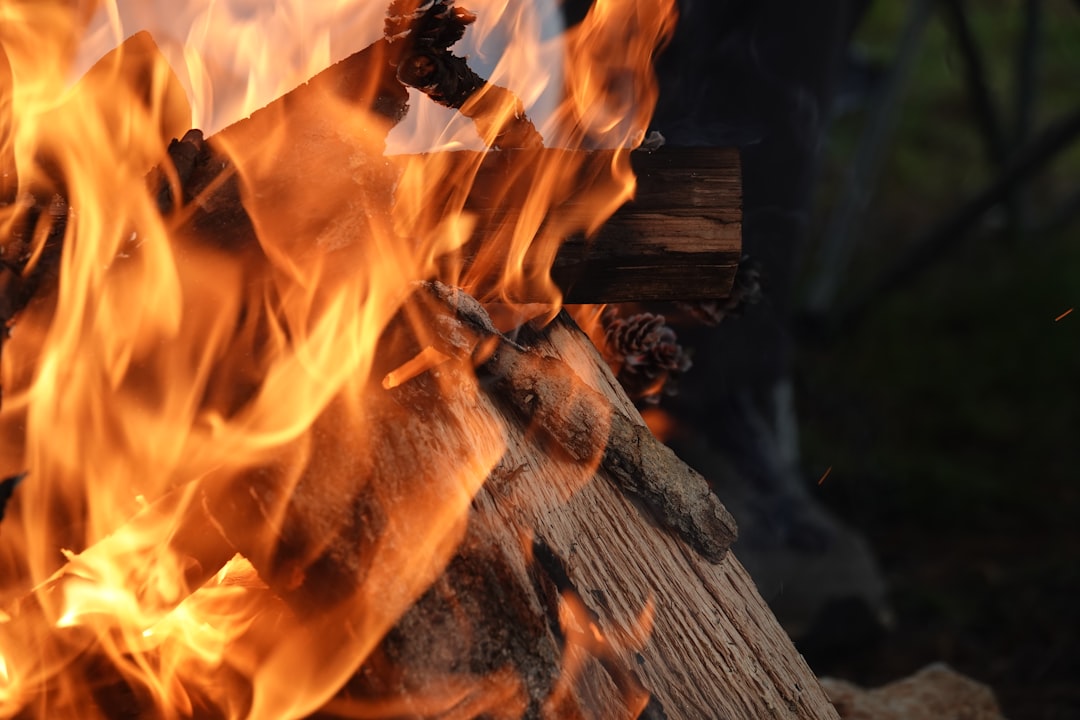 Best Fire Starter – Ferro Rod vs Lighter vs Matches: Best Fire Starter for Survival?: 10 Picks for 2026