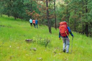Hiking Per Day – How Many Miles of Hiking Per Day Should a Beginner Attempt?: 7 Mistakes to Avoid in 2026