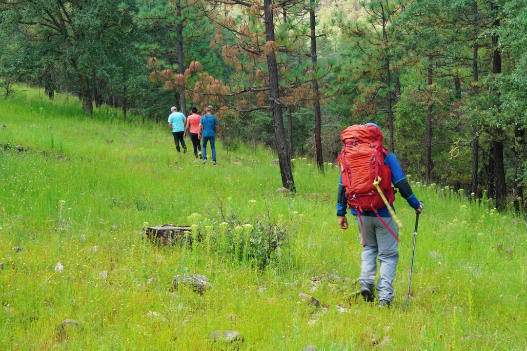 Hiking Per Day – How Many Miles of Hiking Per Day Should a Beginner Attempt?: 7 Mistakes to Avoid in 2026