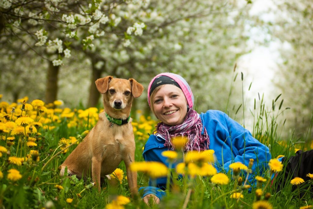 a dog wearing a reflective safety vest walking on a mountain trail with a hiker