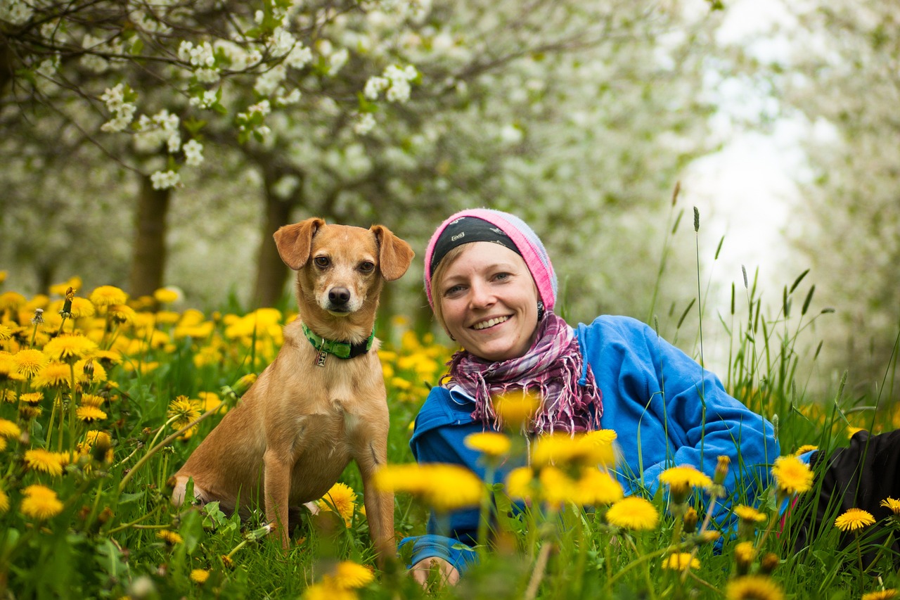 best camping gear for dogs - a golden retriever curled up in a dog sleeping bag beside a campfire in a pine forest
