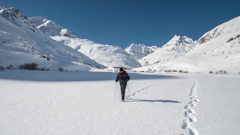 Best Trekking Poles in 2026: 10 Picks for Hiking