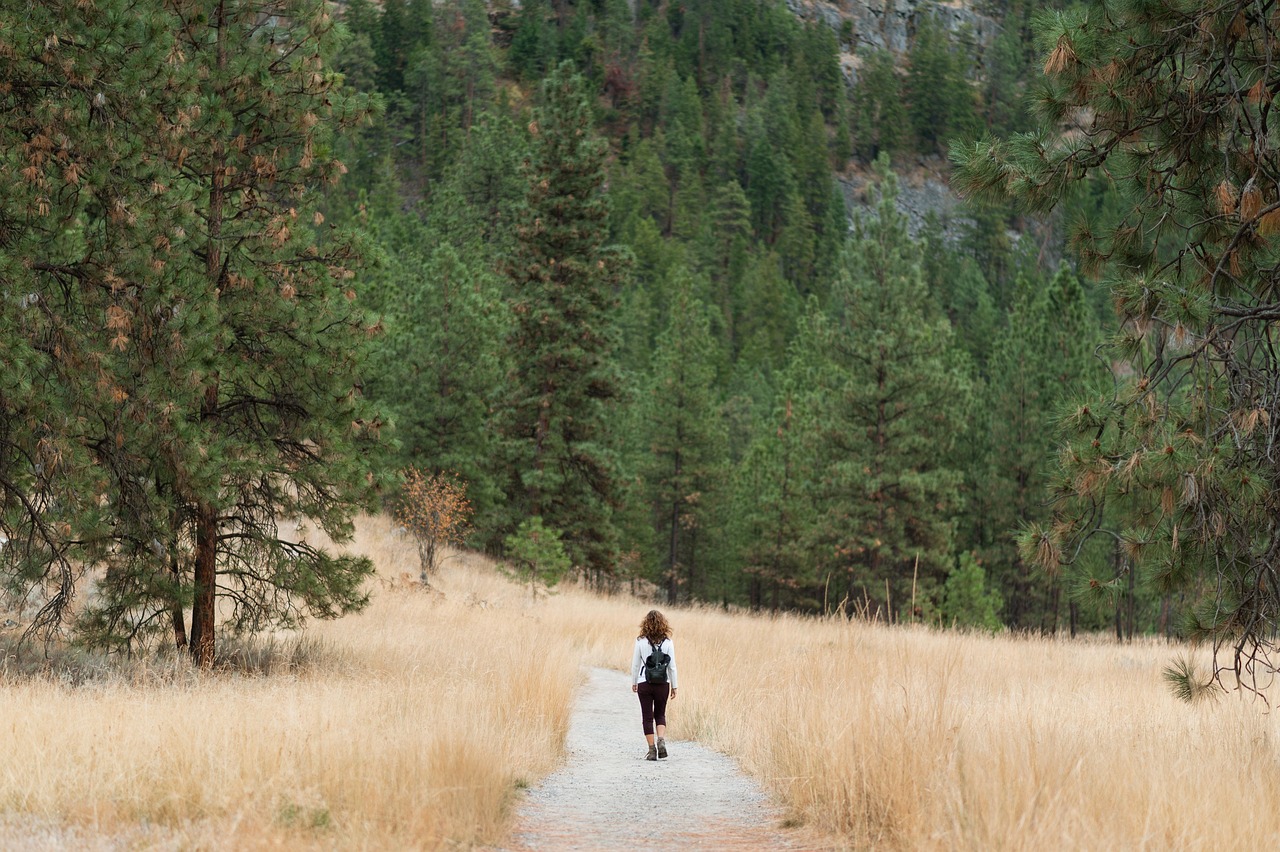 hiking backpacks for beginners - a hiker wearing an adjustable internal frame backpack on a forest trail